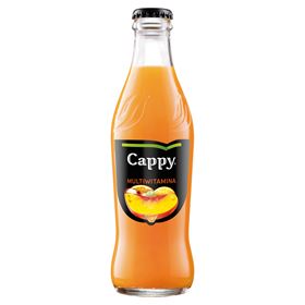 CAPPY MULTIVITAMIN MULTIFRUCHTGETRÄNK 250 ML 24 STÜCK