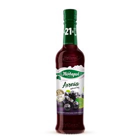 HERBAPOL NAHRUNGSERGÄNZUNGSMITTEL ARONIUMSIRUP 420 ML