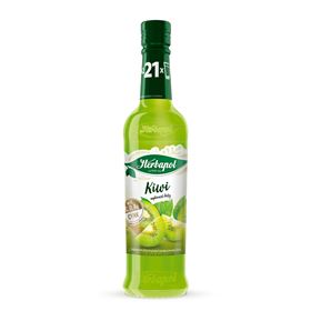 HERBAPOL NAHRUNGSERGÄNZUNGSMITTEL KIWI-SIRUP 420 ML