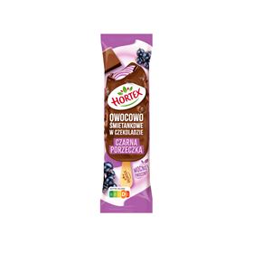 HORTEX FRUCHT- UND CREME-EIS SCHWARZE JOHANNISBEERE IN MILCHSCHOKOLADE 120 ML