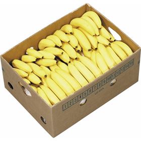 CHIQUITA BANANE 18 KG COSTA RICA