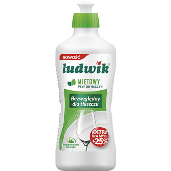 Spülmittel Ludwik Mint 450g