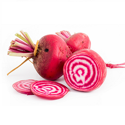 Chioggia Rote Bete 0,7 kg