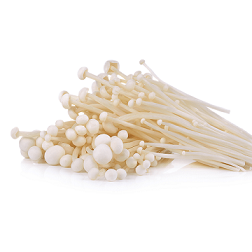 Enoki-Pilze 100g