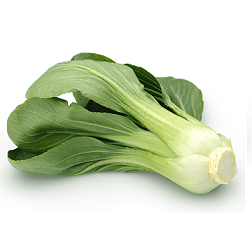 Pak-Choi-Kohl 1 Stk.