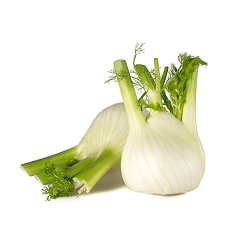 Fenchel Fenchel 1 Stck.