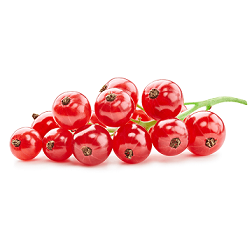 Rote Johannisbeeren 125g