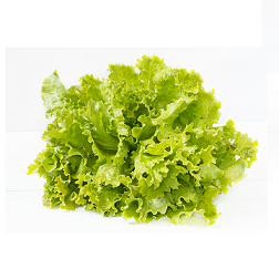 Grüner Salat 150g