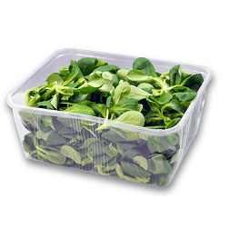 Salat Gewaschener Feldsalat 100g