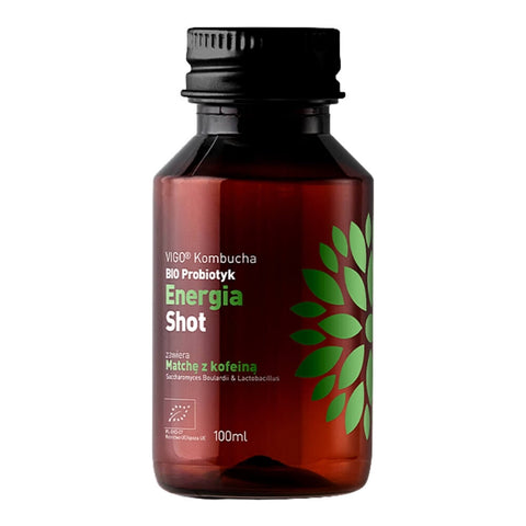 Kombucha BIO Probiotischer Energie-Shot 100ml VIGO