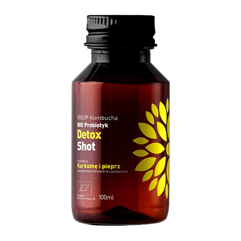 Kombucha BIO Probiotischer Detox-Shot 100ml VIGO