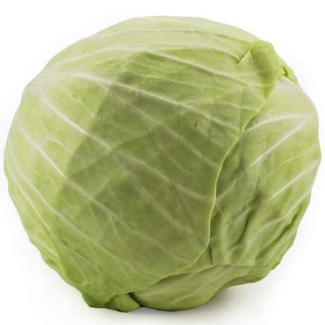 Frischer Weißkohl BIO (ca. 1 kg)