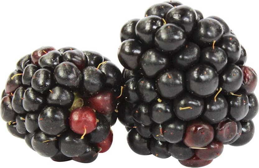 Frische Brombeeren BIO (ca. 125 g)