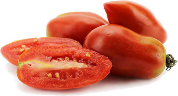 Großpackung (kg) - frische San Marzano-Tomaten BIO (polnisch) (ca. 5 kg)