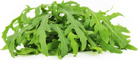 Rucola, ungewaschen, frisch BIO (polnisch) (ca. 100 g)