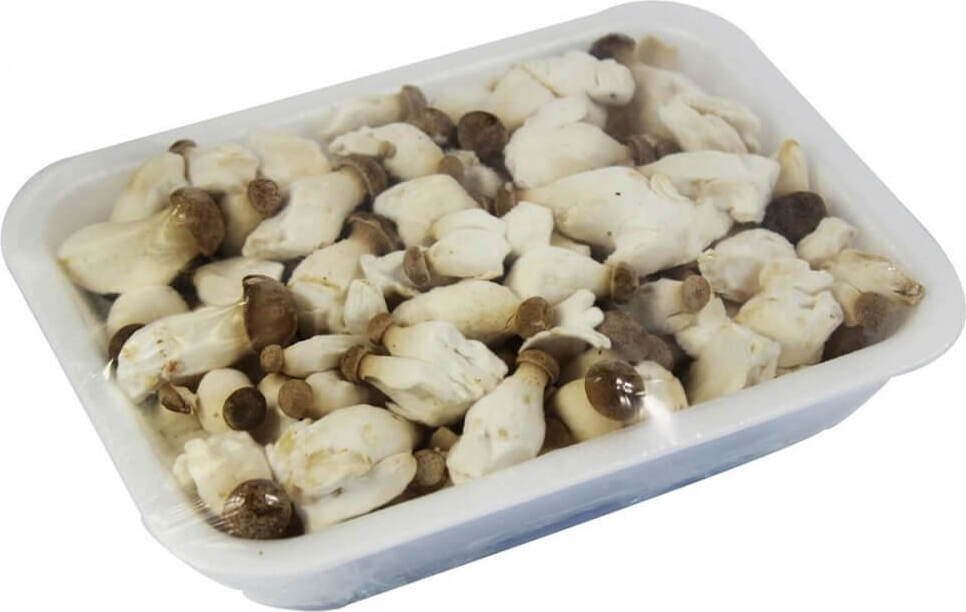 Champignons Eryngii Baby (Steinpilze) frisch BIO (Polen) (ca. 200g)