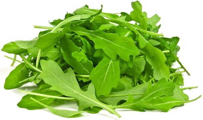 Frischer Rucola BIO (polnisch) (ca. 50 g)