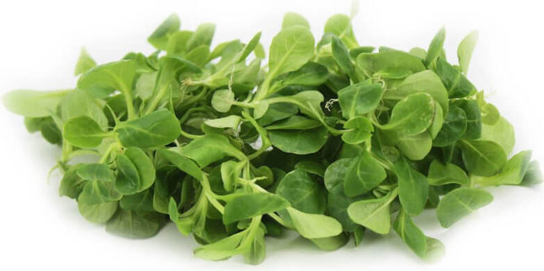 Feldsalat frisch, ungewaschen BIO (ca. 100 g)