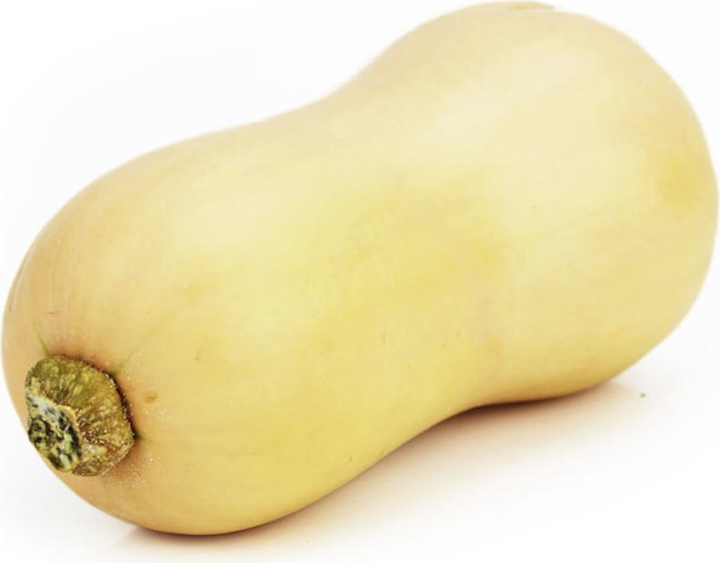 Frischer Butternuss-Butternut-Kürbis BIO (ca. 1 kg)