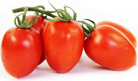 Großpackung (kg) - Piccadilly-Tomaten am Zweig frisch BIO (ca. 3 kg)