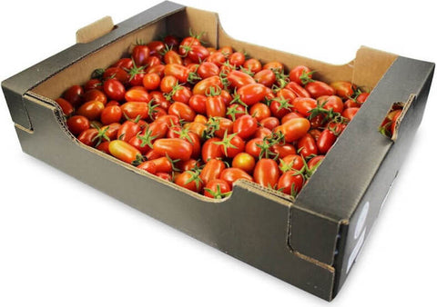 Großpackung (kg) - frische Datterino-Tomaten BIO (ca. 3 kg)