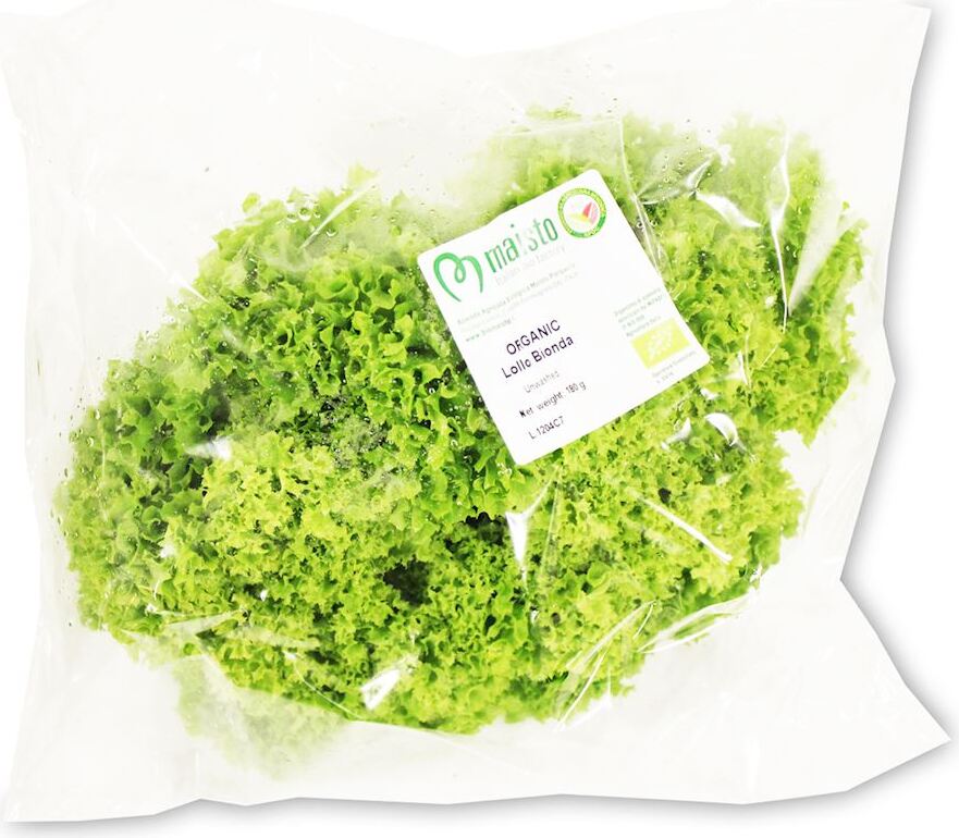 Großverpackung (Stück) - frischer Lollo Biondo Salat BIO (ca. 4 Stück)