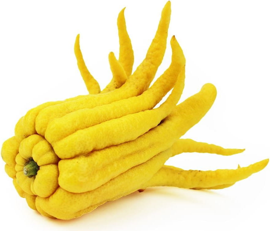 Buddhas Hand frisch BIO (ca. 200g)