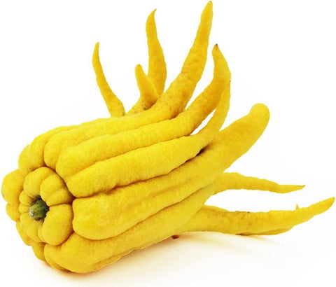 Buddhas Hand frisch BIO (ca. 200g)