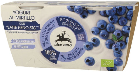 Heidelbeerjoghurt BIO 2 x 125 g - ALCE NERO