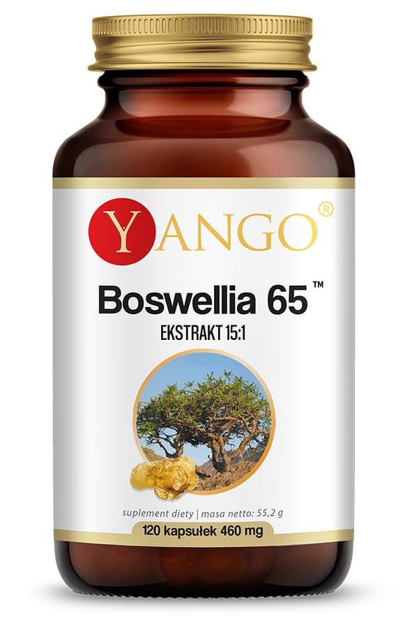 Boswellia 65 120 Kapseln YANGO