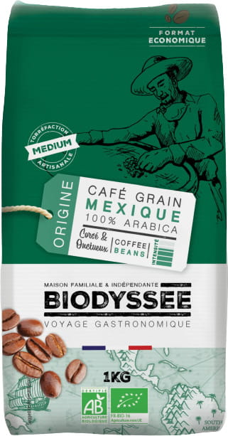 Kaffee 100% Arabica Mexiko Bohnen 1 kg ECO BIODYSSEE