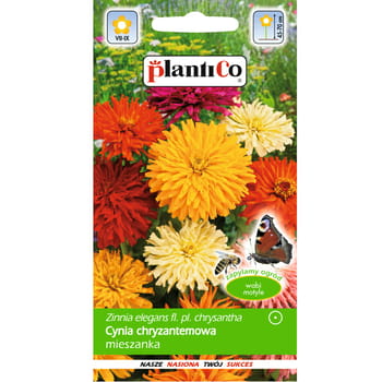 Chrysanthemen-Zinnia-Samen, PlantiCo-Mix