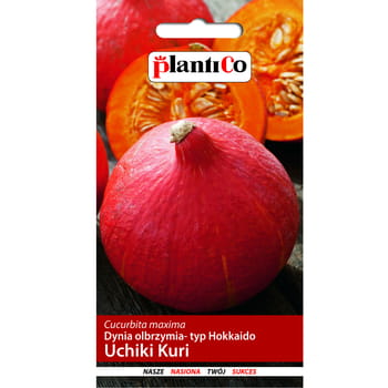 Uchiki Kuri Riesenkürbissamen, Hokkaido PlantiCo-Typ