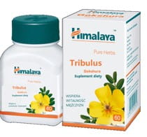 Tribulus Gokshura 60 gélules HIMALAYA