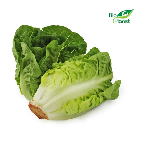 Rabatt frischer Mini-Römersalat BIO (ca. 0,40 kg)