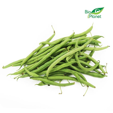 Grand contenant (kg) - Haricots verts BIO (env. 5 kg)