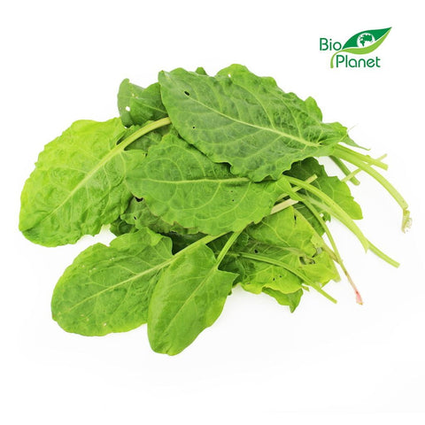 Fresh sorrel BIO (Polish) (approx. 100 g)