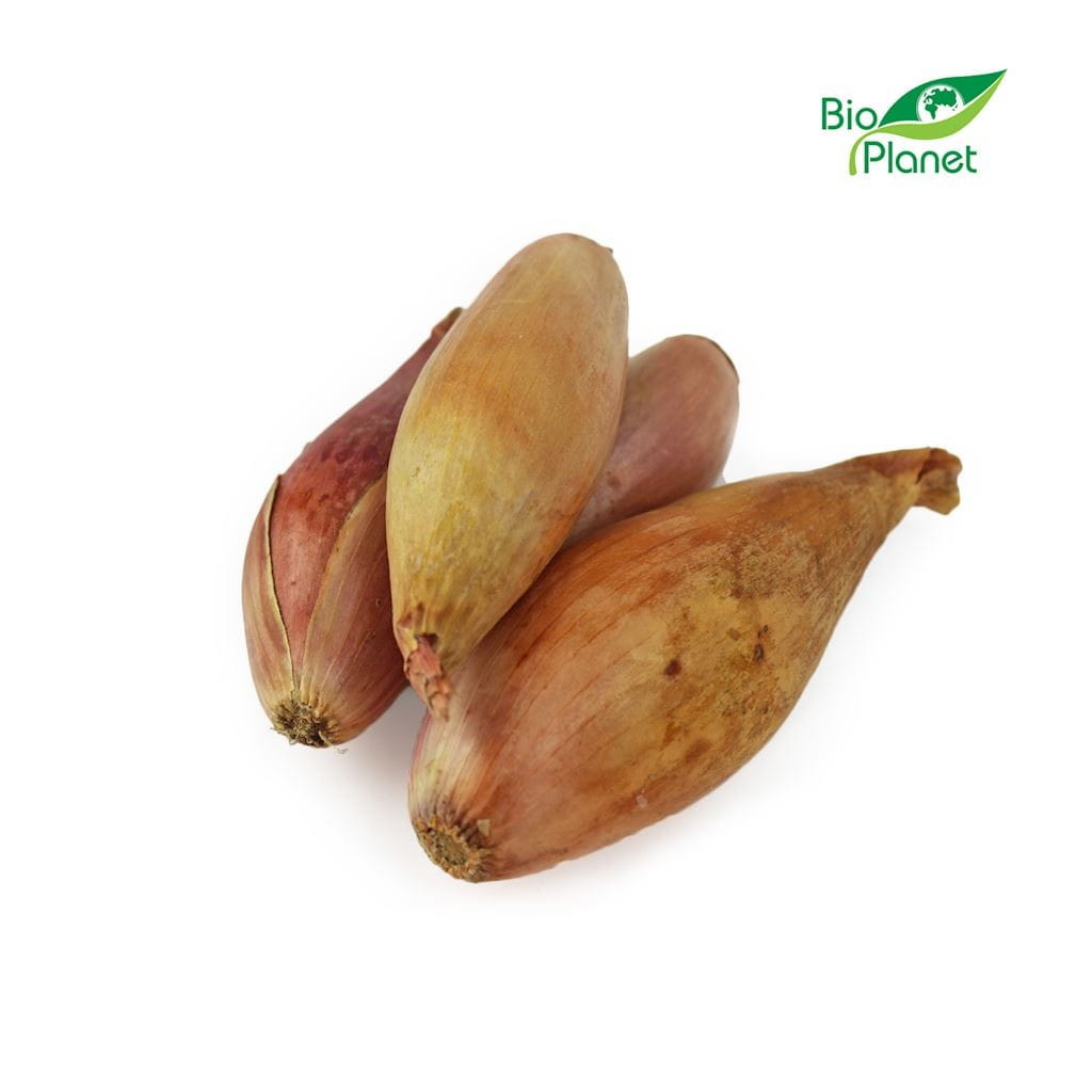 ORGANIC FRESH SHALLOT (approx. 0.25 kg)