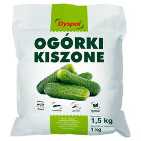 Eingelegte Gurken 1 KG (DYS)