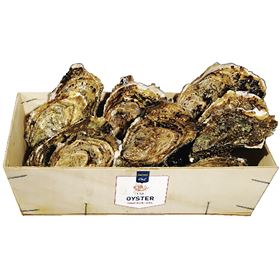 METRO CHEF PACIFIC OYSTERS N3