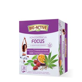 BIG-ACTIVE FOCUS GRÜNER TEE-KONZENTRATION 30 G (20 X 1,5 G)